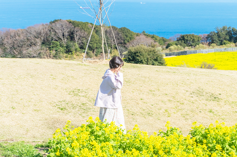 アバウトのトップ写真